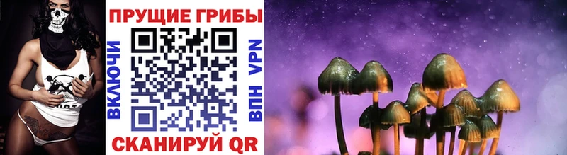 магазин продажи наркотиков  Барнаул  Псилоцибиновые грибы Psilocybe 